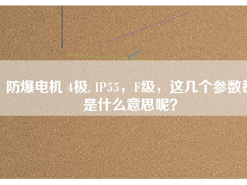 防爆電機 4極, IP55，F(xiàn)級，這幾個參數(shù)都是什么意思呢？