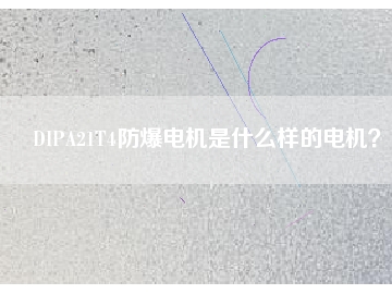 DIPA21T4防爆電機是什么樣的電機？