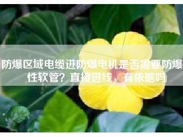 防爆區(qū)域電纜進(jìn)防爆電機(jī)是否需要防爆撓性軟管？直接進(jìn)線，有依據(jù)嗎