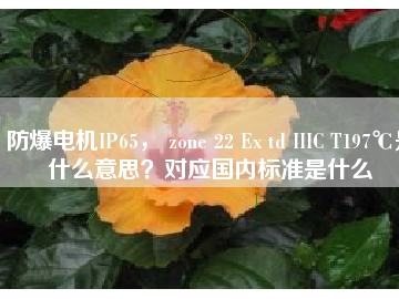 防爆電機IP65， zone 22 Ex td IIIC T197℃是什么意思？對應國內(nèi)標準是什么