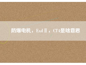 防爆電機(jī)，ExdⅡ，CT4是啥意思