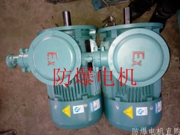 防爆電機(jī)分類：防爆電機(jī)選型、參數(shù)、定義