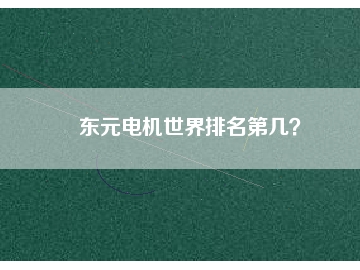 東元電機(jī)世界排名第幾？