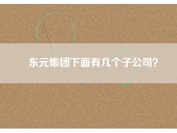 東元集團(tuán)下面有幾個(gè)子公司？
