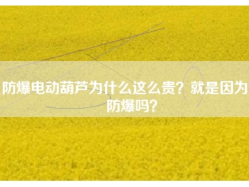 防爆電動葫蘆為什么這么貴？就是因為能防爆嗎？