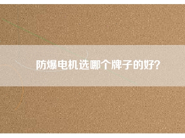 防爆電機(jī)選哪個(gè)牌子的好？