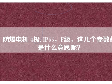 防爆電機 4極, IP55，F(xiàn)級，這幾個參數(shù)都是什么意思呢？