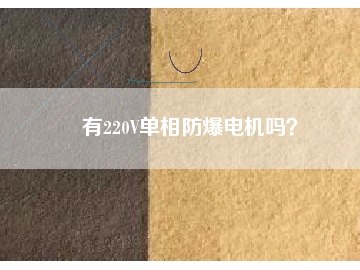 有220V單相防爆電機嗎？