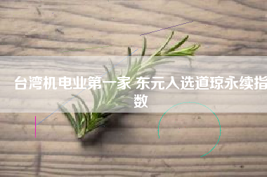 臺灣機(jī)電業(yè)第一家 東元入選道瓊永續(xù)指數(shù)