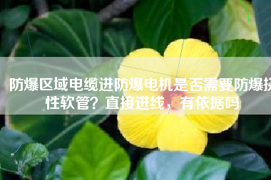 防爆區(qū)域電纜進(jìn)防爆電機(jī)是否需要防爆撓性軟管？直接進(jìn)線，有依據(jù)嗎