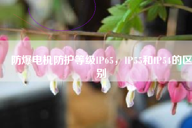 防爆電機(jī)防護(hù)等級IP65，IP55和IP54的區(qū)別