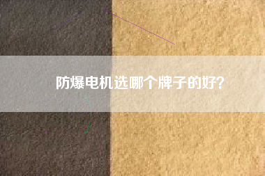 防爆電機選哪個牌子的好？