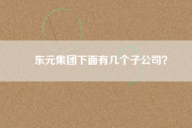 東元集團(tuán)下面有幾個子公司？