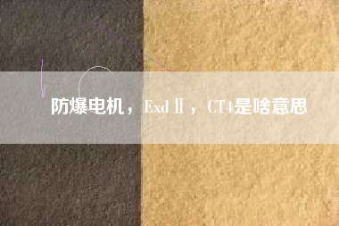 防爆電機(jī)，ExdⅡ，CT4是啥意思
