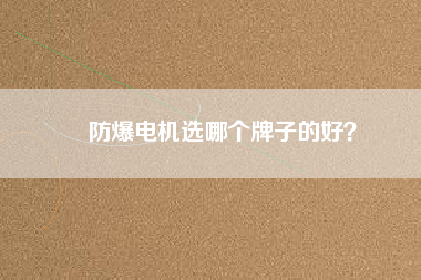 防爆電機選哪個牌子的好？