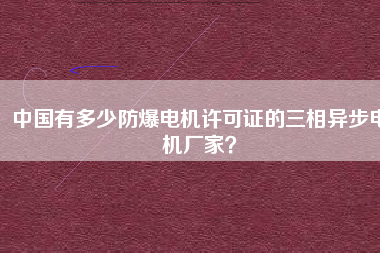 中國有多少防爆電機許可證的三相異步電機廠家？