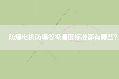 防爆電機(jī)防爆等級溫度標(biāo)準(zhǔn)都有哪些？