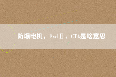 防爆電機，ExdⅡ，CT4是啥意思